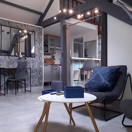 Loft Haut De Gamme Centre Montargis, Place De Parking, Local A Velos, Linge De Lits Et Serviettes, Coin Riviere Amenage, Hamac, Epicerie, Velos En Option, Tout Confort Jusqu'A 4 Voyageurs Buitenkant foto