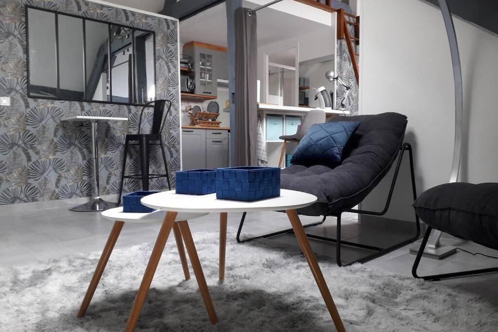 Loft Haut De Gamme Centre Montargis, Place De Parking, Local A Velos, Linge De Lits Et Serviettes, Coin Riviere Amenage, Hamac, Epicerie, Velos En Option, Tout Confort Jusqu'A 4 Voyageurs Buitenkant foto