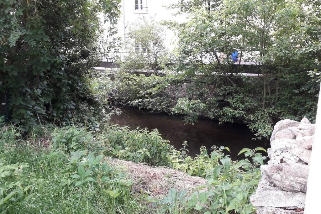 Loft Haut De Gamme Centre Montargis, Place De Parking, Local A Velos, Linge De Lits Et Serviettes, Coin Riviere Amenage, Hamac, Epicerie, Velos En Option, Tout Confort Jusqu'A 4 Voyageurs Buitenkant foto