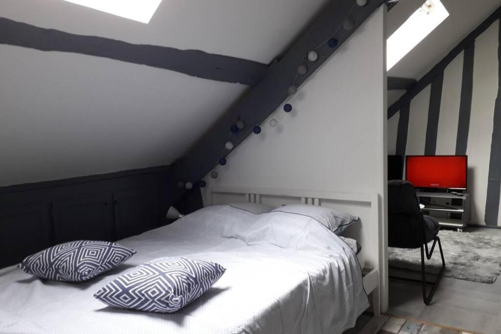 Loft Haut De Gamme Montargis Centre 1 A 4 Personnes Climatisation, Parking, Linge, Wifi, Hamac, Garage A Velos, Velos En Option Buitenkant foto