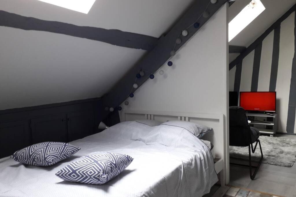 Loft Haut De Gamme Centre Montargis, Place De Parking, Local A Velos, Linge De Lits Et Serviettes, Coin Riviere Amenage, Hamac, Epicerie, Velos En Option, Tout Confort Jusqu'A 4 Voyageurs Buitenkant foto