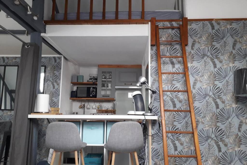 Loft Haut De Gamme Centre Montargis, Place De Parking, Local A Velos, Linge De Lits Et Serviettes, Coin Riviere Amenage, Hamac, Epicerie, Velos En Option, Tout Confort Jusqu'A 4 Voyageurs Buitenkant foto
