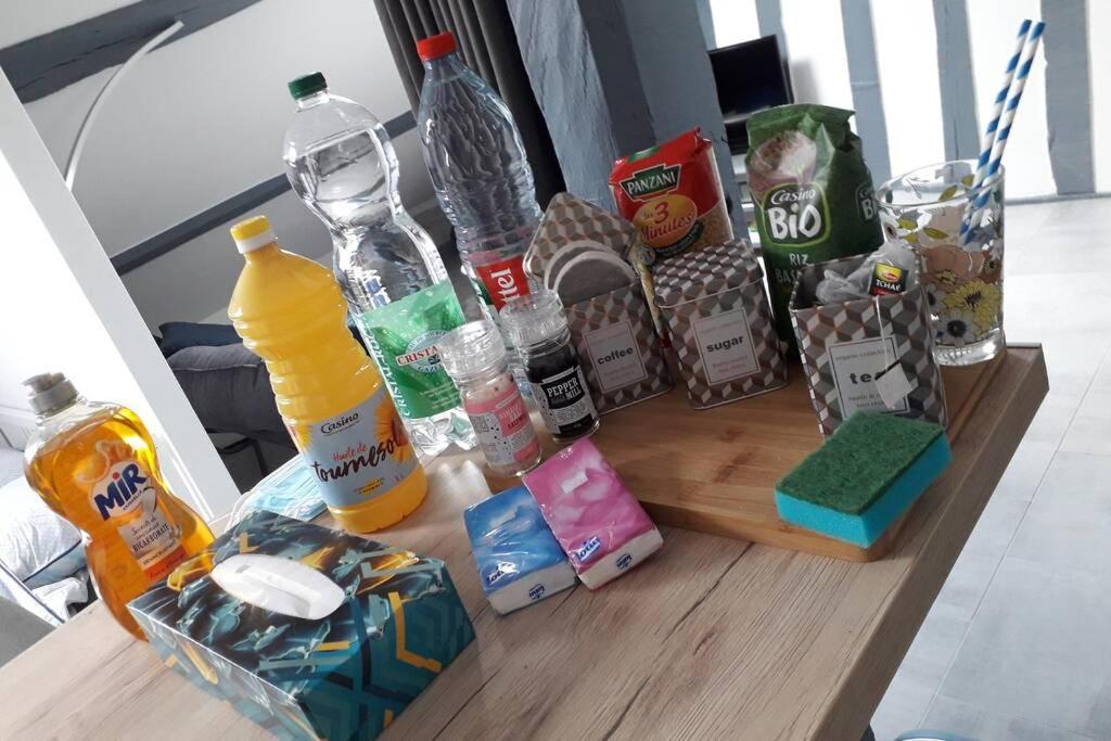 Loft Haut De Gamme Centre Montargis, Place De Parking, Local A Velos, Linge De Lits Et Serviettes, Coin Riviere Amenage, Hamac, Epicerie, Velos En Option, Tout Confort Jusqu'A 4 Voyageurs Buitenkant foto