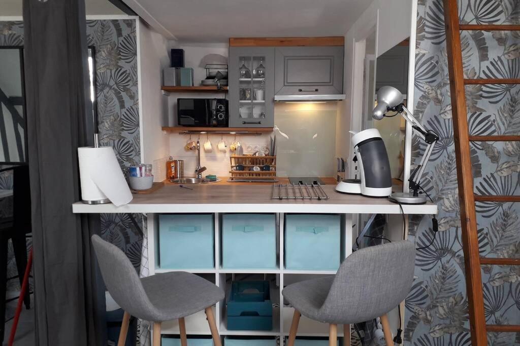 Loft Haut De Gamme Centre Montargis, Place De Parking, Local A Velos, Linge De Lits Et Serviettes, Coin Riviere Amenage, Hamac, Epicerie, Velos En Option, Tout Confort Jusqu'A 4 Voyageurs Buitenkant foto