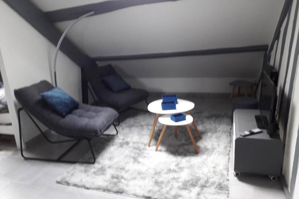 Loft Haut De Gamme Montargis Centre 1 A 4 Personnes Climatisation, Parking, Linge, Wifi, Hamac, Garage A Velos, Velos En Option Buitenkant foto