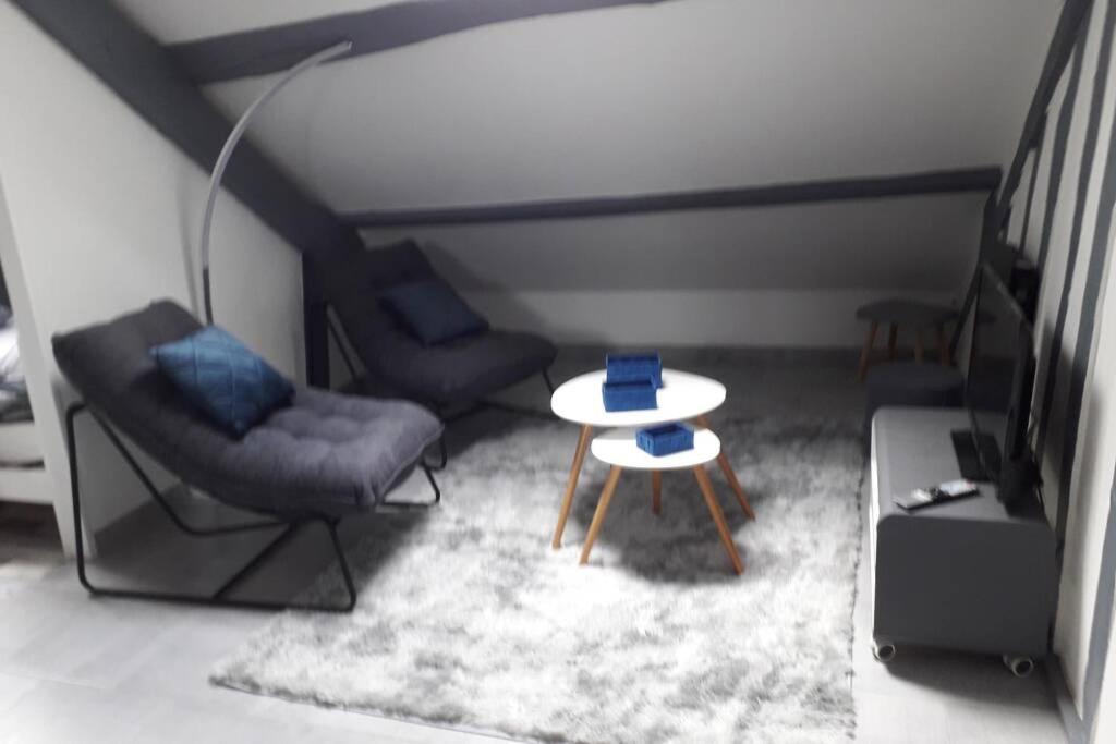 Loft Haut De Gamme Centre Montargis, Place De Parking, Local A Velos, Linge De Lits Et Serviettes, Coin Riviere Amenage, Hamac, Epicerie, Velos En Option, Tout Confort Jusqu'A 4 Voyageurs Buitenkant foto