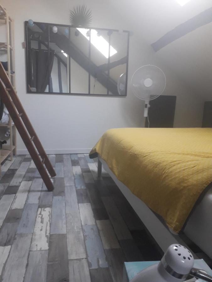 Loft Haut De Gamme Montargis Centre 1 A 4 Personnes Climatisation, Parking, Linge, Wifi, Hamac, Garage A Velos, Velos En Option Buitenkant foto