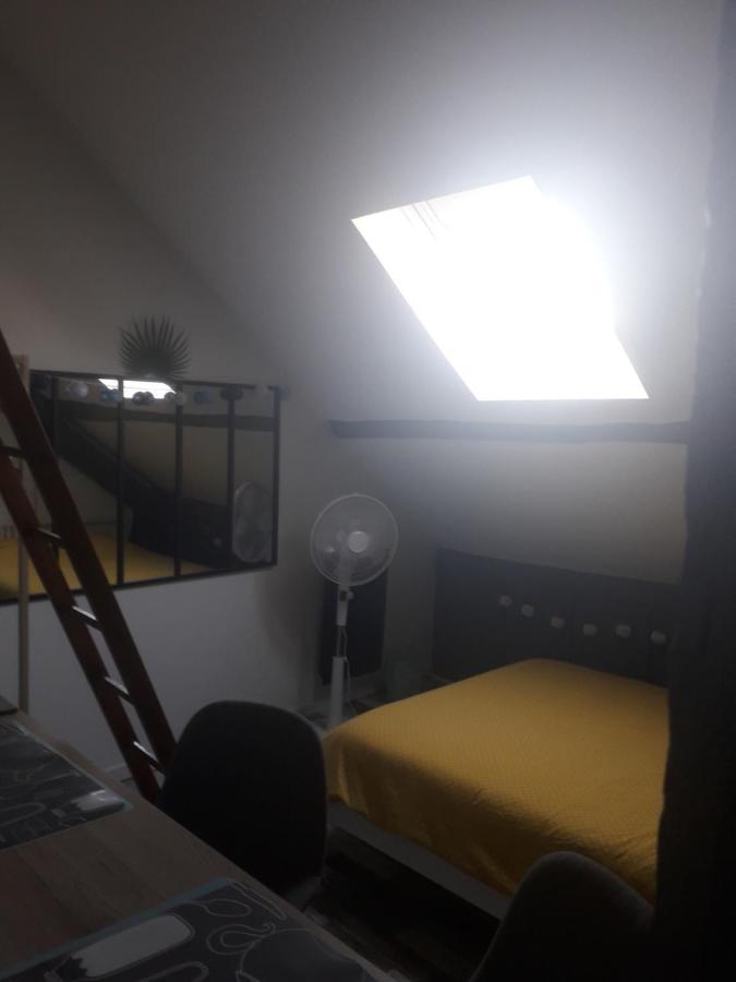 Loft Haut De Gamme Centre Montargis, Place De Parking, Local A Velos, Linge De Lits Et Serviettes, Coin Riviere Amenage, Hamac, Epicerie, Velos En Option, Tout Confort Jusqu'A 4 Voyageurs Buitenkant foto
