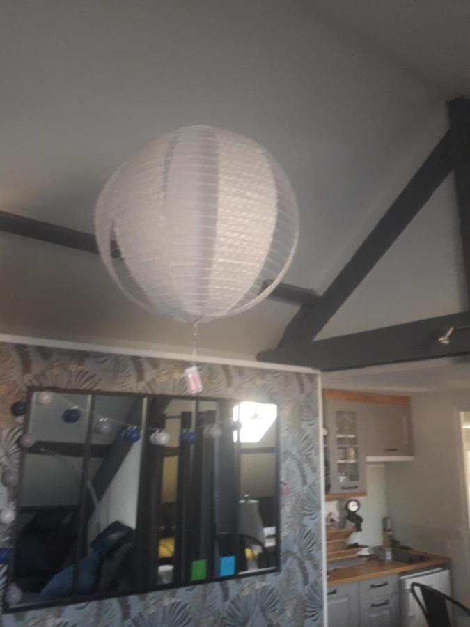 Loft Haut De Gamme Centre Montargis, Place De Parking, Local A Velos, Linge De Lits Et Serviettes, Coin Riviere Amenage, Hamac, Epicerie, Velos En Option, Tout Confort Jusqu'A 4 Voyageurs Buitenkant foto