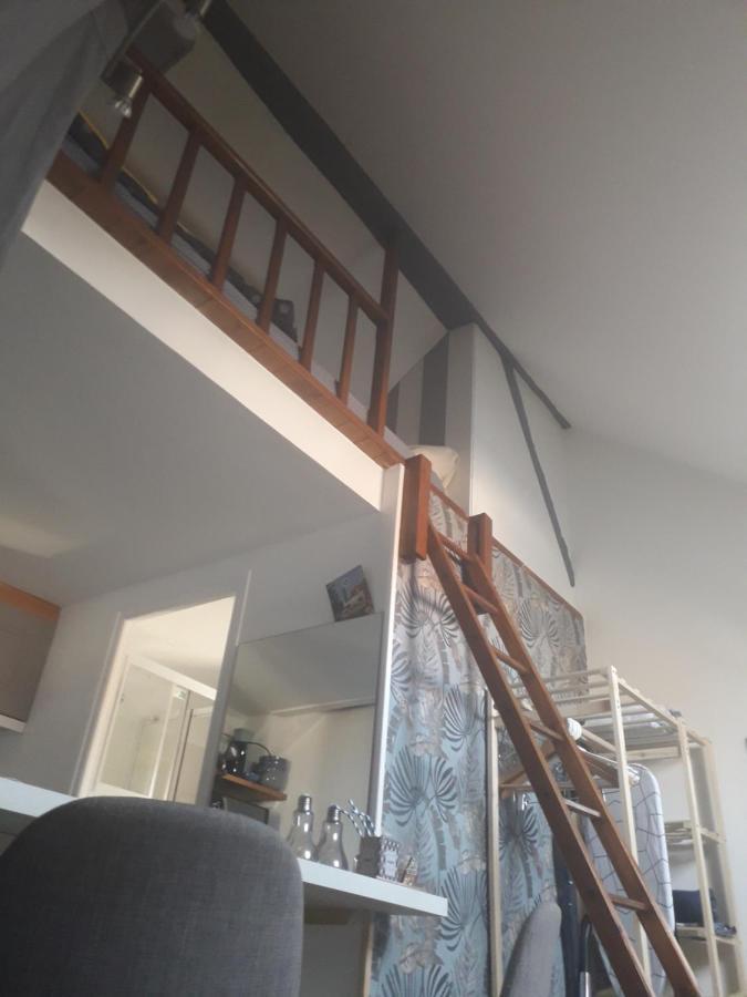 Loft Haut De Gamme Centre Montargis, Place De Parking, Local A Velos, Linge De Lits Et Serviettes, Coin Riviere Amenage, Hamac, Epicerie, Velos En Option, Tout Confort Jusqu'A 4 Voyageurs Buitenkant foto