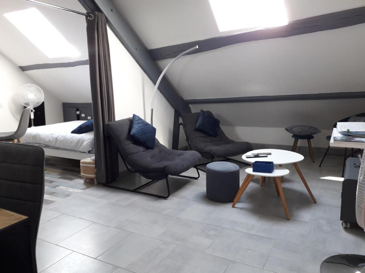 Loft Haut De Gamme Montargis Centre 1 A 4 Personnes Climatisation, Parking, Linge, Wifi, Hamac, Garage A Velos, Velos En Option Buitenkant foto