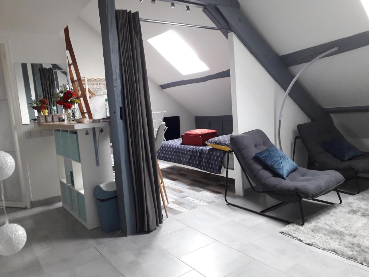 Loft Haut De Gamme Montargis Centre 1 A 4 Personnes Climatisation, Parking, Linge, Wifi, Hamac, Garage A Velos, Velos En Option Buitenkant foto