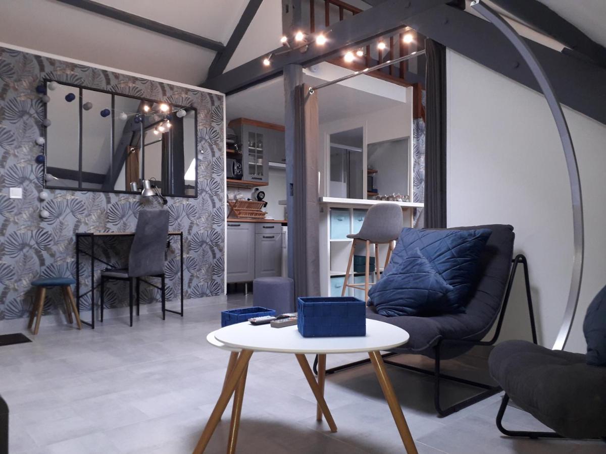 Loft Haut De Gamme Centre Montargis, Place De Parking, Local A Velos, Linge De Lits Et Serviettes, Coin Riviere Amenage, Hamac, Epicerie, Velos En Option, Tout Confort Jusqu'A 4 Voyageurs Buitenkant foto